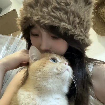 白鹭