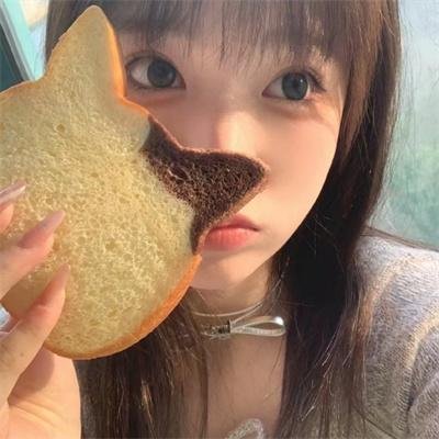 流浪狗阿甘